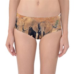 Elephants Animal Art Abstract Mid-waist Bikini Bottoms by Celenk