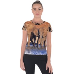 Elephants Animal Art Abstract Short Sleeve Sports Top  by Celenk