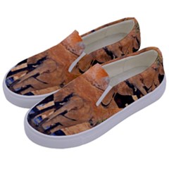 Elephants Animal Art Abstract Kids  Canvas Slip Ons by Celenk