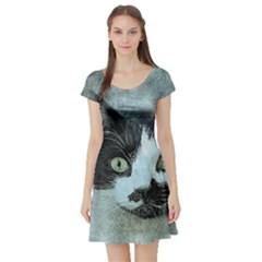 Cat Pet Art Abstract Vintage Short Sleeve Skater Dress by Celenk