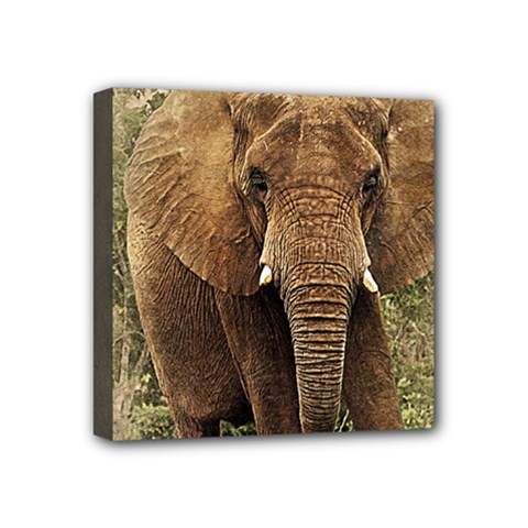 Elephant Animal Art Abstract Mini Canvas 4  X 4  by Celenk