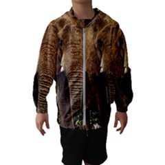 Elephant Animal Art Abstract Hooded Wind Breaker (kids) by Celenk