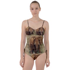 Elephant Animal Art Abstract Sweetheart Tankini Set by Celenk