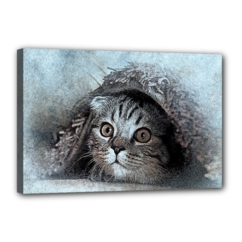 Cat Pet Art Abstract Vintage Canvas 18  X 12  by Celenk