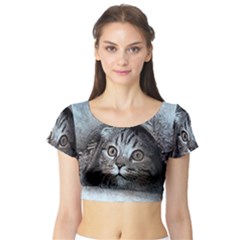 Cat Pet Art Abstract Vintage Short Sleeve Crop Top by Celenk