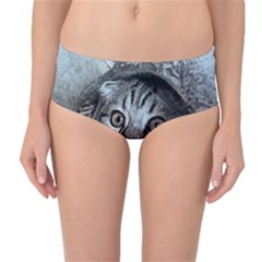 Cat Pet Art Abstract Vintage Mid-waist Bikini Bottoms by Celenk