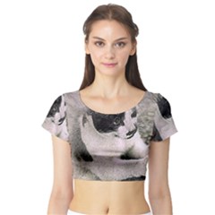 Cat Pet Art Abstract Vintage Short Sleeve Crop Top by Celenk