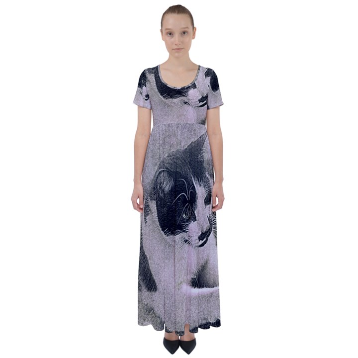 Cat Pet Art Abstract Vintage High Waist Short Sleeve Maxi Dress