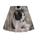 Cat Pet Art Abstract Vintage Mini Flare Skirt View1