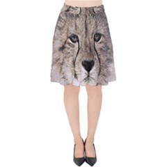 Leopard Art Abstract Vintage Baby Velvet High Waist Skirt by Celenk