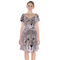 Leopard Art Abstract Vintage Baby Short Sleeve Bardot Dress by Celenk