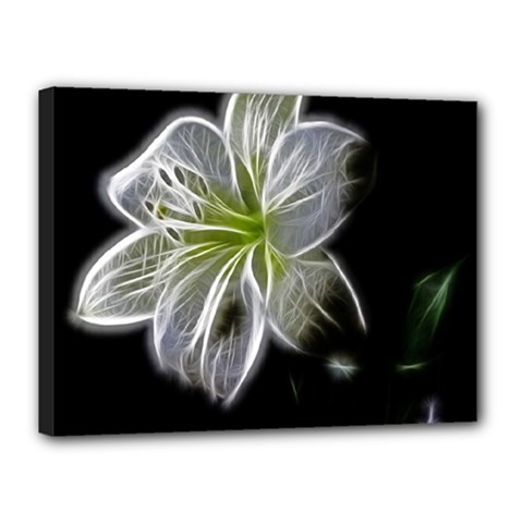 White Lily Flower Nature Beauty Canvas 16  X 12  by Celenk