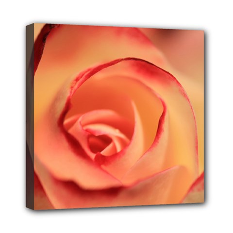 Rose Orange Rose Blossom Bloom Mini Canvas 8  X 8  by Celenk