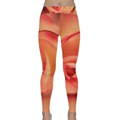 Rose Orange Rose Blossom Bloom Classic Yoga Leggings by Celenk