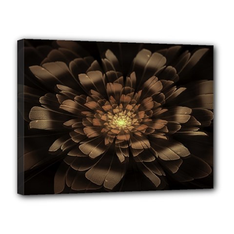 Fractal Flower Floral Bloom Brown Canvas 16  X 12  by Celenk