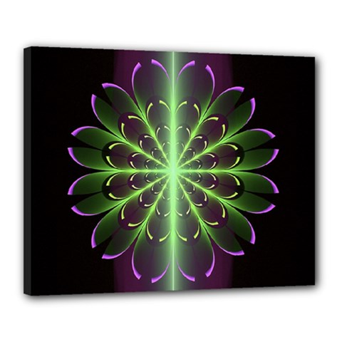 Fractal Purple Lime Pattern Canvas 20  X 16  by Celenk