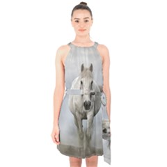 Horse Mammal White Horse Animal Halter Collar Waist Tie Chiffon Dress by Celenk