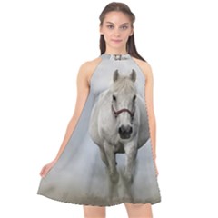 Horse Mammal White Horse Animal Halter Neckline Chiffon Dress  by Celenk