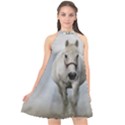 Horse Mammal White Horse Animal Halter Neckline Chiffon Dress  View1