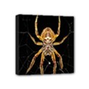 Nsect Macro Spider Colombia Mini Canvas 4  x 4  View1