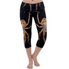 Nsect Macro Spider Colombia Capri Yoga Leggings by Celenk