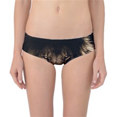 African Lion Mane Close Eyes Classic Bikini Bottoms by Celenk