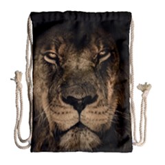 African Lion Mane Close Eyes Drawstring Bag (large) by Celenk