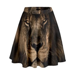 African Lion Mane Close Eyes High Waist Skirt by Celenk