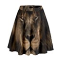 African Lion Mane Close Eyes High Waist Skirt View1