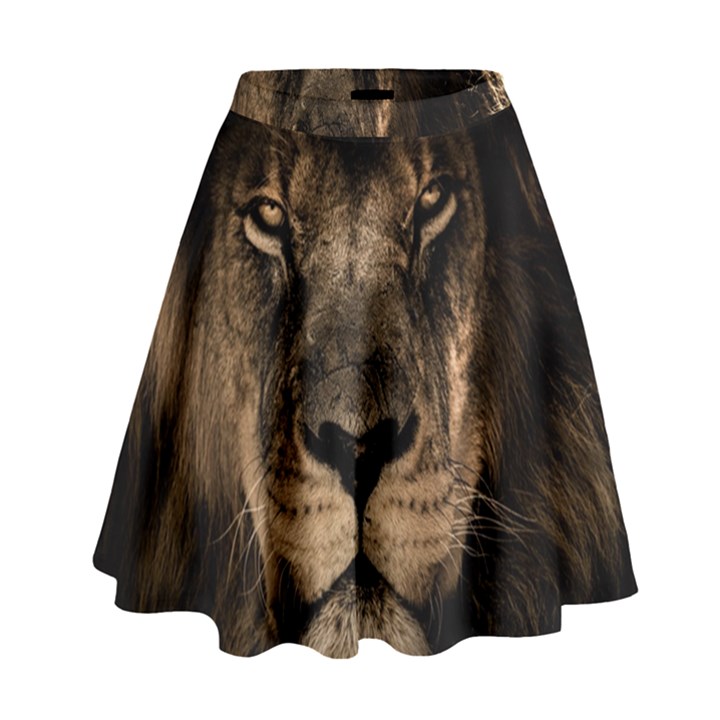 African Lion Mane Close Eyes High Waist Skirt