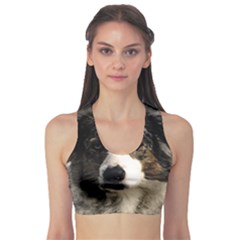 Dog Pet Art Abstract Vintage Sports Bra by Celenk