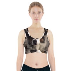 Dog Pet Art Abstract Vintage Sports Bra With Pocket by Celenk