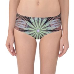 Fractal Floral Fantasy Flower Mid-waist Bikini Bottoms by Celenk