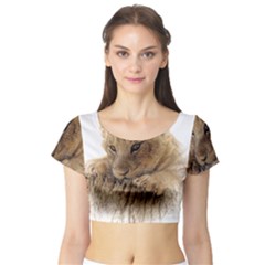 Lion Cub Close Cute Eyes Lookout Short Sleeve Crop Top by Celenk