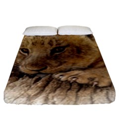 Lion Cub Close Cute Eyes Lookout Fitted Sheet (king Size) by Celenk