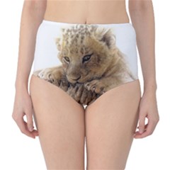 Lion Cub Close Cute Eyes Lookout High-waist Bikini Bottoms by Celenk