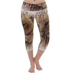 Lion Cub Close Cute Eyes Lookout Capri Yoga Leggings by Celenk