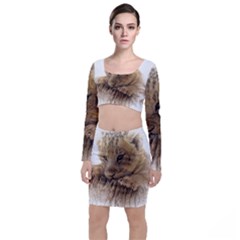 Lion Cub Close Cute Eyes Lookout Long Sleeve Crop Top & Bodycon Skirt Set by Celenk