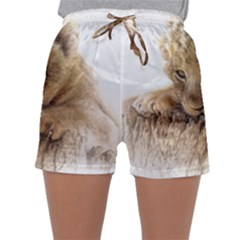 Lion Cub Close Cute Eyes Lookout Sleepwear Shorts by Celenk