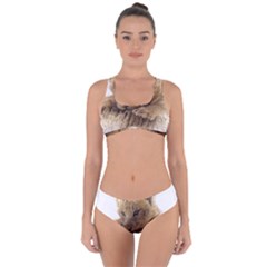 Lion Cub Close Cute Eyes Lookout Criss Cross Bikini Set by Celenk