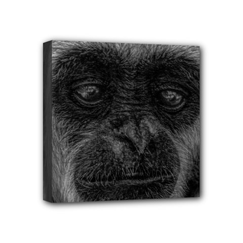 Gibbon Wildlife Indonesia Mammal Mini Canvas 4  X 4  by Celenk