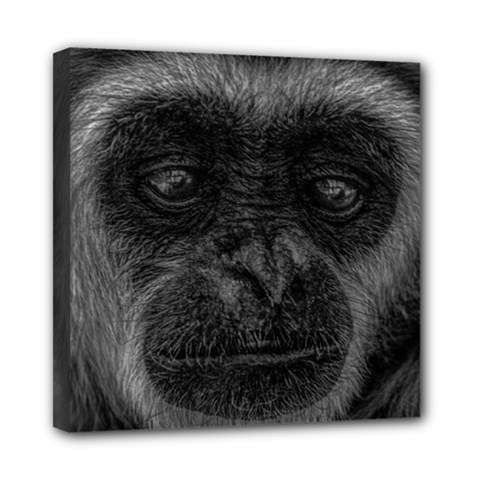 Gibbon Wildlife Indonesia Mammal Mini Canvas 8  X 8  by Celenk