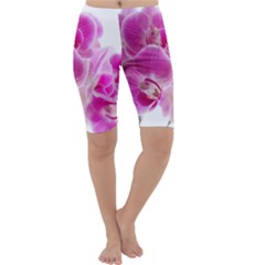 Orchid Phaleonopsis Art Plant Cropped Leggings  by Celenk