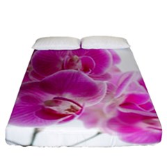 Orchid Phaleonopsis Art Plant Fitted Sheet (california King Size) by Celenk