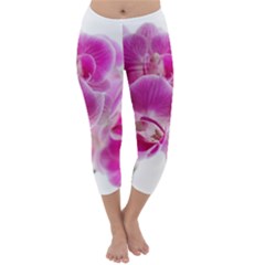 Orchid Phaleonopsis Art Plant Capri Winter Leggings  by Celenk