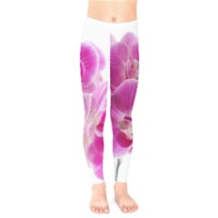 Orchid Phaleonopsis Art Plant Kids  Legging by Celenk