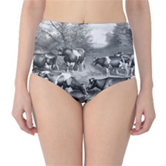 Holstein Fresian Cows Fresian Cows High-waist Bikini Bottoms by Celenk