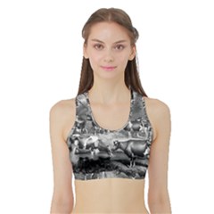 Holstein Fresian Cows Fresian Cows Sports Bra With Border by Celenk