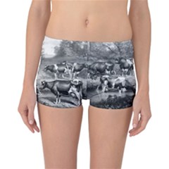 Holstein Fresian Cows Fresian Cows Reversible Boyleg Bikini Bottoms by Celenk