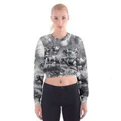 Holstein Fresian Cows Fresian Cows Cropped Sweatshirt by Celenk